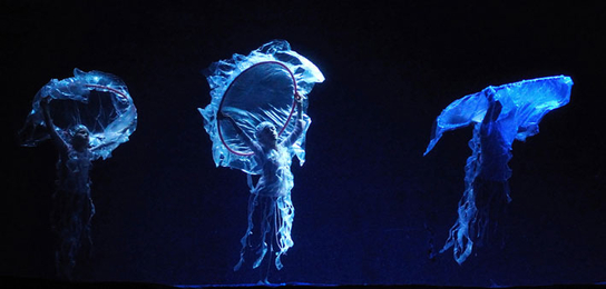 Three jellyfish from the ballet